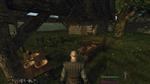   Life is Feudal: Your Own v0.3.2.6 Rus/Eng (2014) PC | RePack  zealite_lif